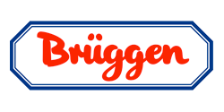 Bruggen logosu