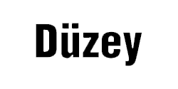 Düzey Grubu