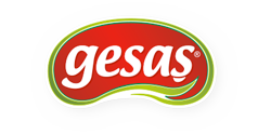 GESAŞ Gıda logosu